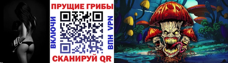 дарнет шоп  Оса  Галлюциногенные грибы мицелий 
